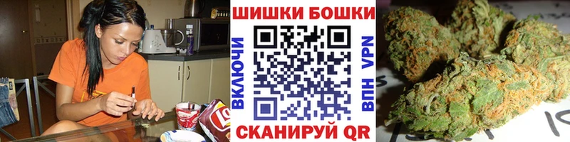 Где можно купить наркотики Шебекино гидра ссылка  МЕФ  Бошки Шишки  Кокаин  Alpha-PVP 