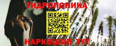 прущие грибы Новодвинск