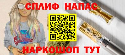 прущие грибы Новодвинск