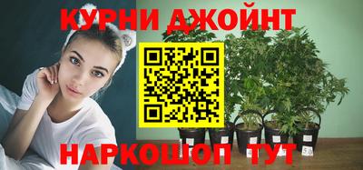 прущие грибы Новодвинск