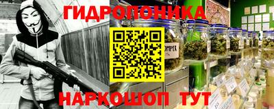 PSILOCYBIN Новозыбков