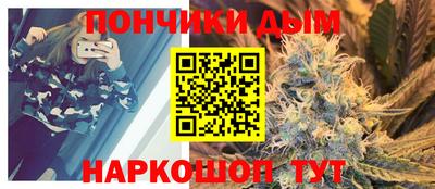 прущие грибы Новодвинск