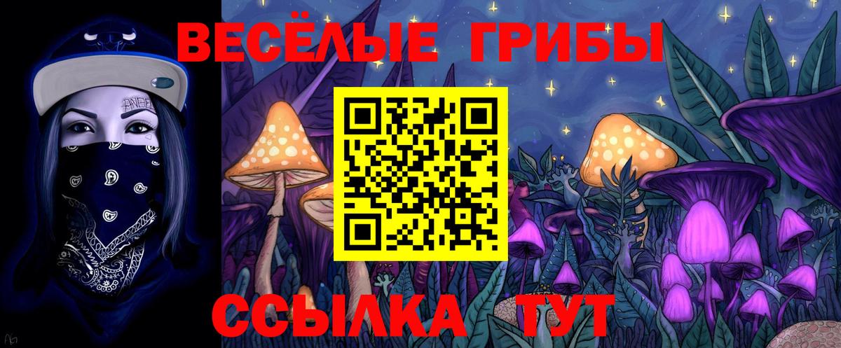 Галлюциногенные грибы ЛСД Шебекино