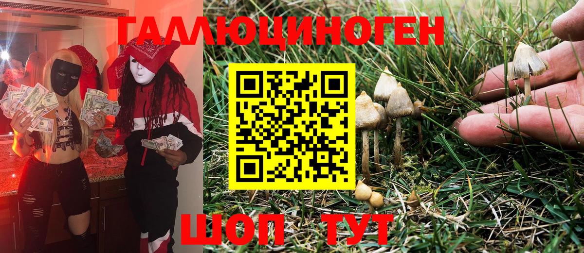 Галлюциногенные грибы Psilocybe  Вход с VPN  Шебекино 